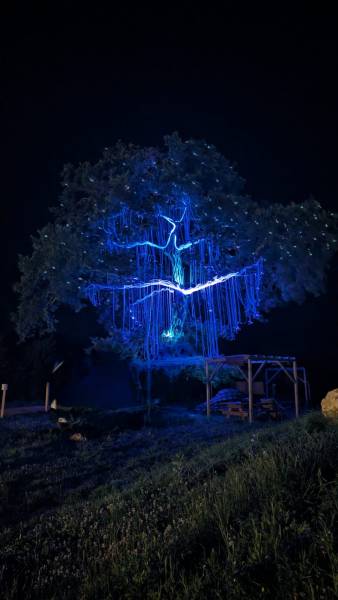 Gamme de Par LED, projecteurs filaires pas cher pour événements pas cher avec belle palette de couleurs et très silencieux